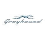 Greyhound